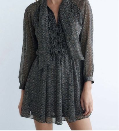 Zara dress