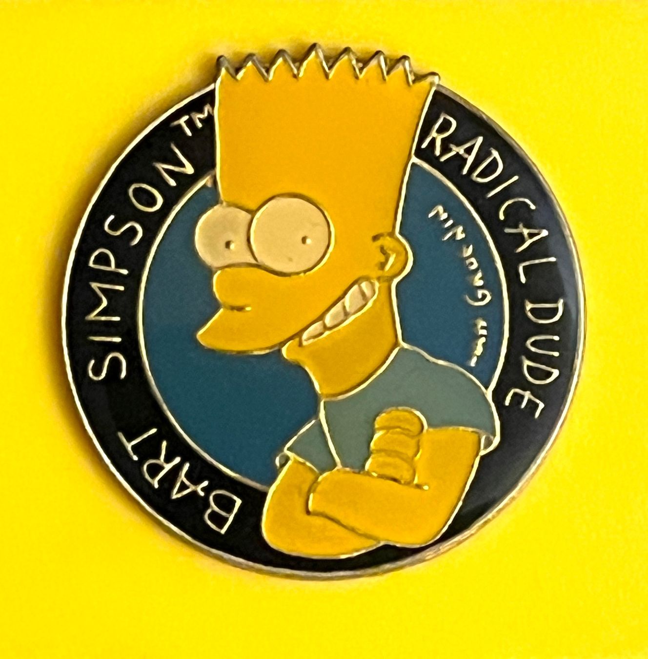 Placchette & Badge: Pin - Simpson – Usato da Renan BE venduto da johncactus