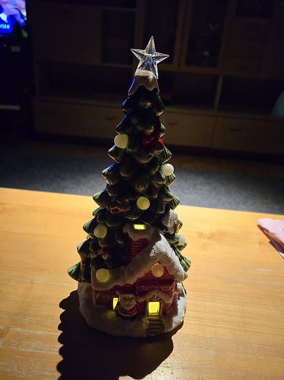 Tutte le decorazioni: CHRISTBAUM GEHT MIT BATTERIE. – Usato da Steinerberg venduto da steinerberg01 1