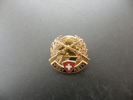 Schützen Abzeichen VSSV ASTV Schweiz
