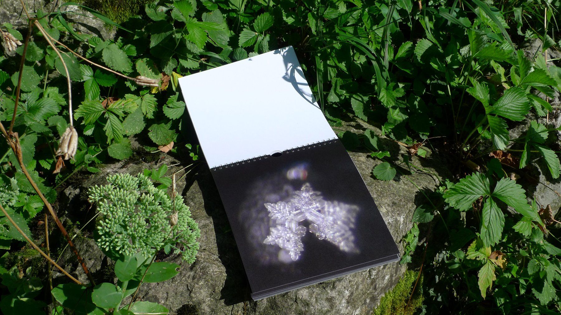Libri: Glastonbury Eiskristalle / Avalon - Matrix – Nuovo e nell'imballaggio originale da Schaan venduto da Jtd 2