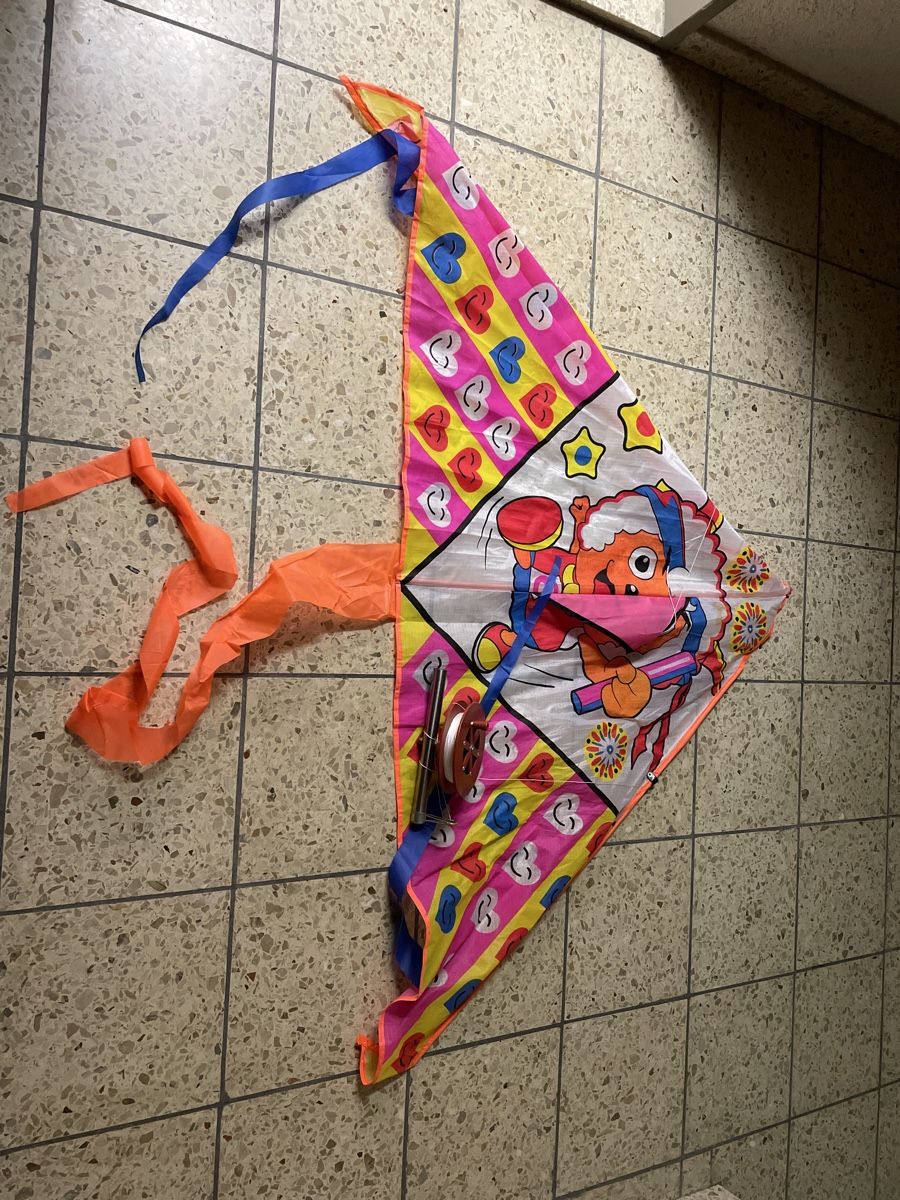Kite: Flug Drachen mit super Spule – D'occasion à Winterthur par CleanUp