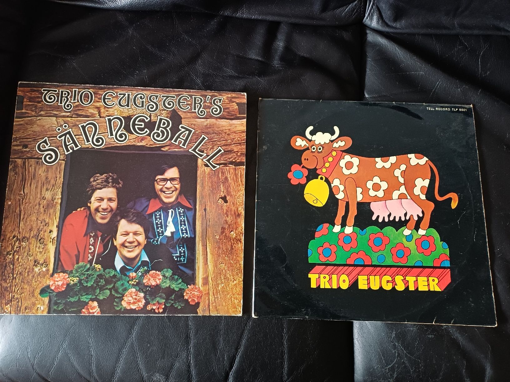 Dischi in vinile: Trio Eugster Schallplatten Konvolut 7 Stücke  – Usato da Ebersecken venduto da Napf08 1