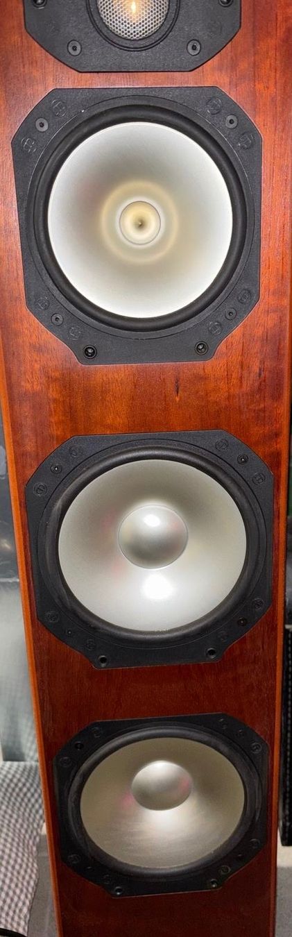 Monitor Audio Casse acustiche: Monitor Audio Standlautsprecher Silver S10 – Usato da Zürich venduto da tinde 5
