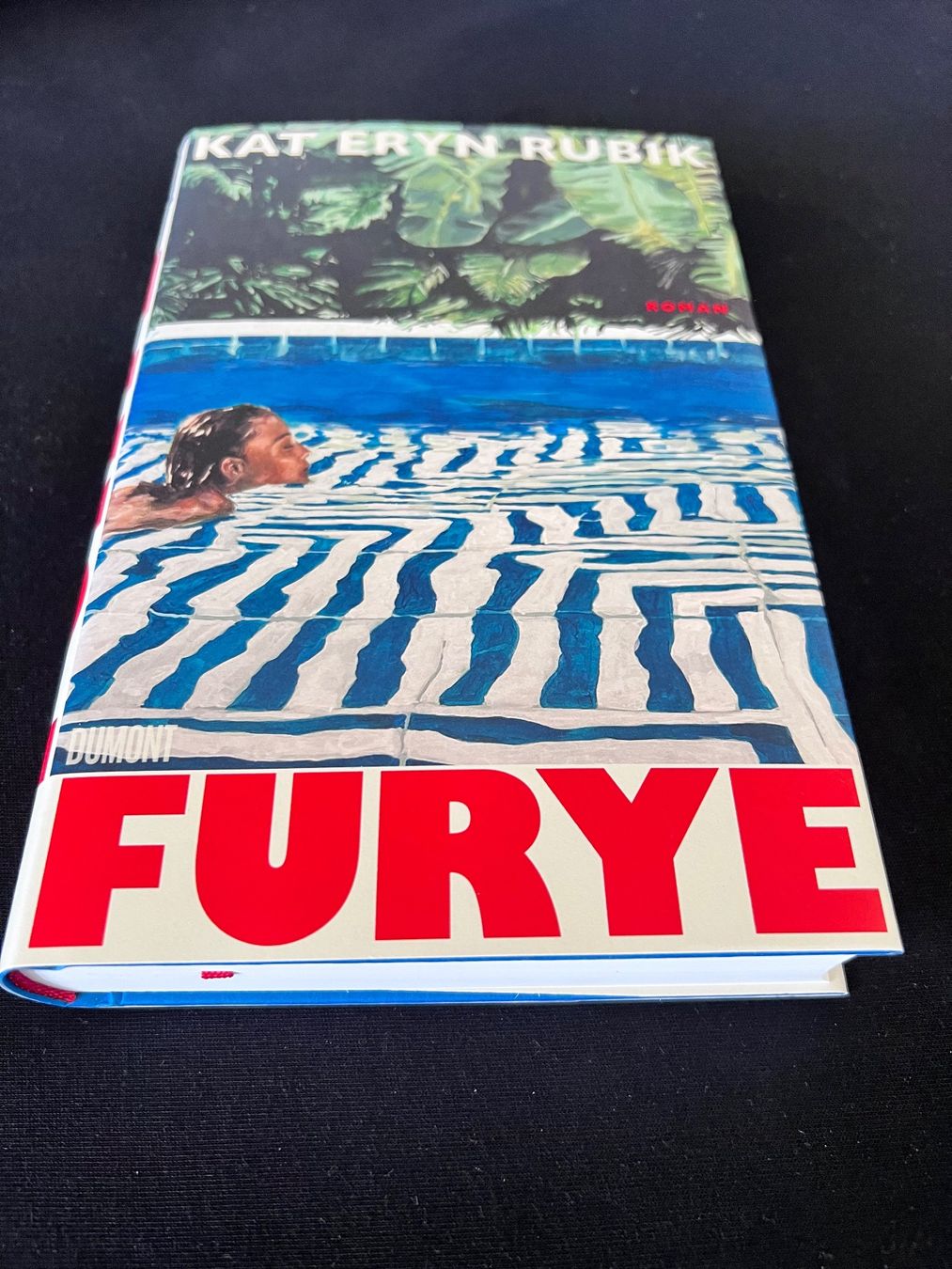 Libri: Buch - Furye - roman – Nuovo (secondo la descrizione) da Effretikon venduto da YaMn 1