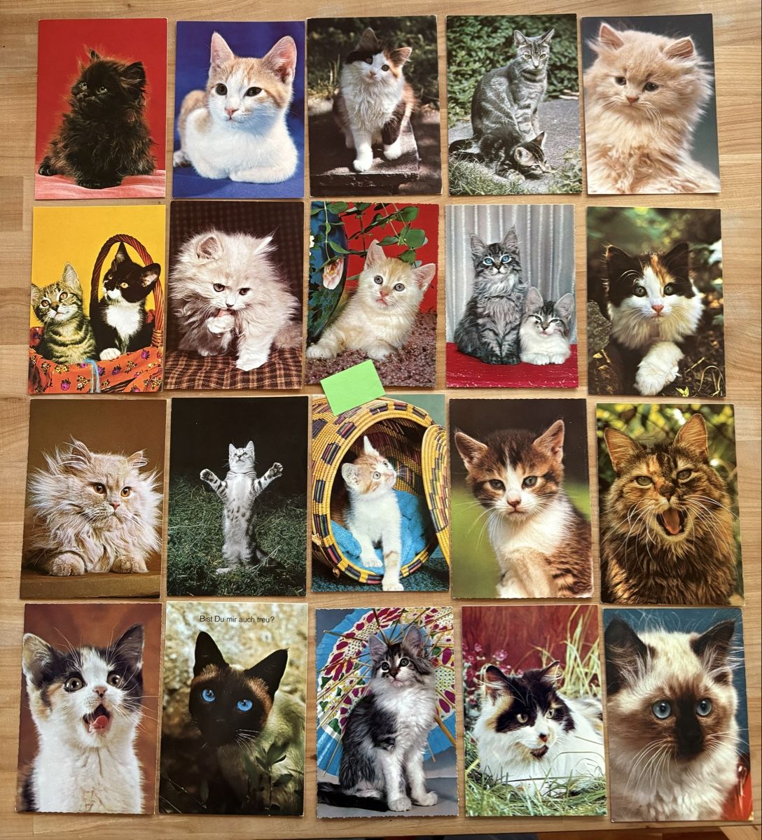 Cartoline postali: 20 AK mit Katzen Motiv – Usato da Rümlang venduto da Kartenpost1