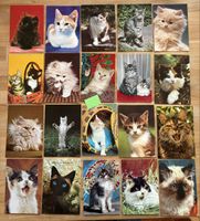 20 AK mit Katzen Motiv