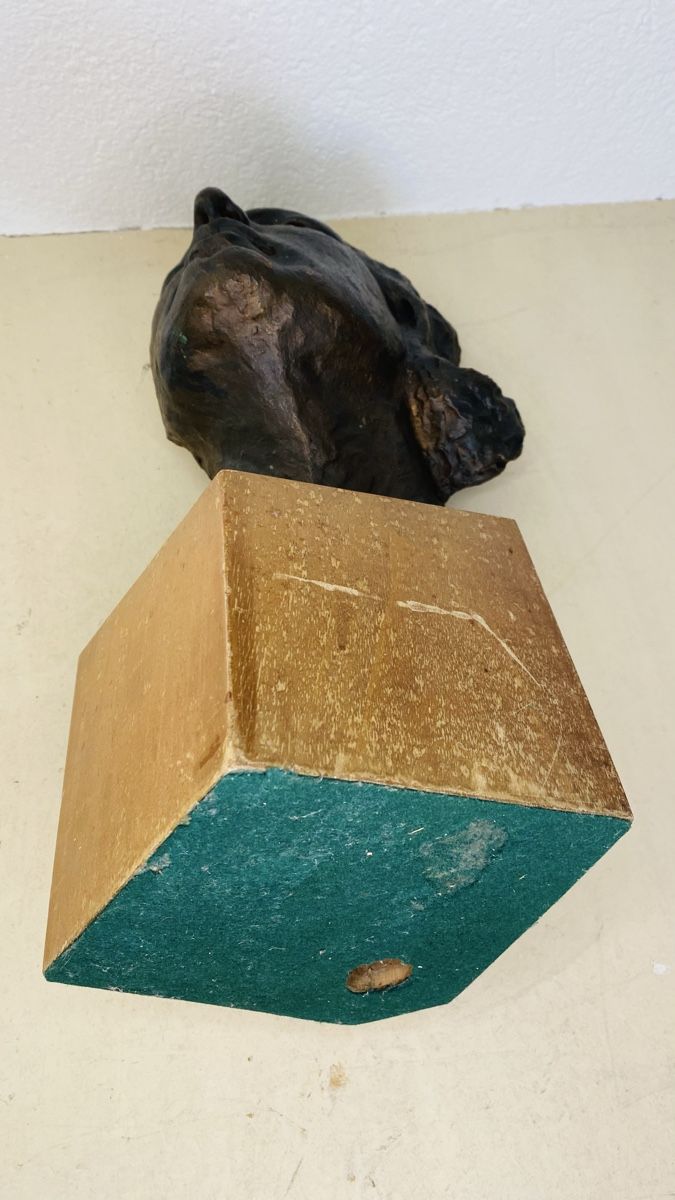 Sculture & Statue: Alte Büste Vintage Kunst Objekt! – Usato da Oberhasli venduto da Kantenspringer 6