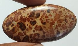 Cabochon L-8815 – Kaffeebohne Jaspis 42X22X6 mm 45.50 Karat
