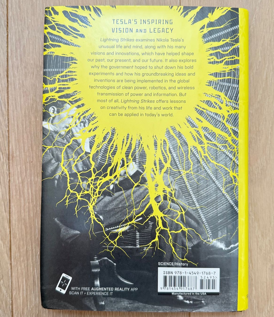 Libri: Lightning Strikes: Timeless Lessons in Creativity from Tesla – Usato da Denges venduto da peumens 1