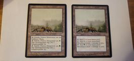 MTG - Gestrüppland