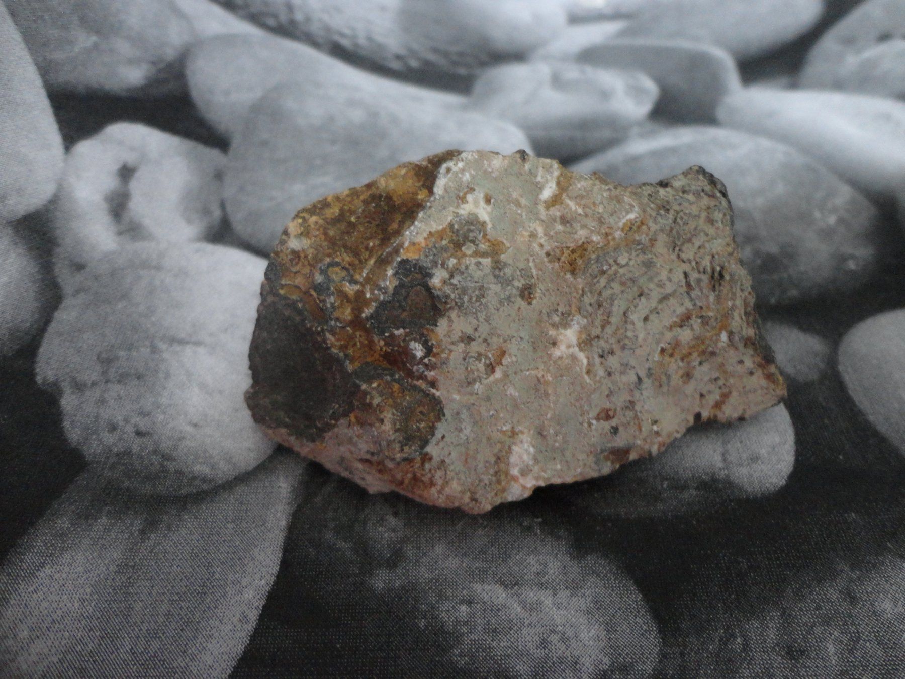 Minéraux & Lithothérapie: Stromatolith roh – Neuf (Voir description) à Biberist par Steine 1