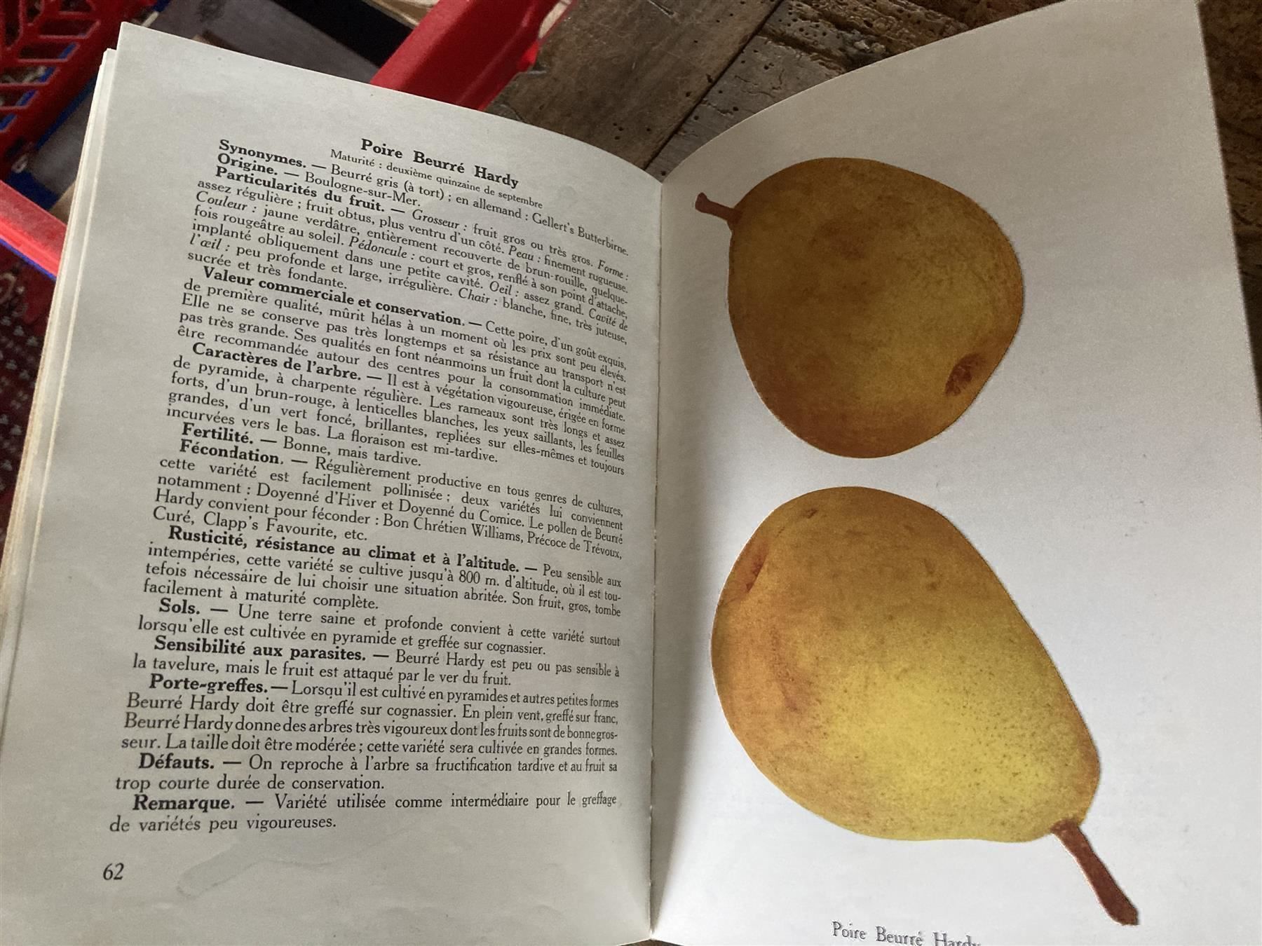 Libri: 1937 Nouvelle Pomologie romande illustré – Usato da Bern venduto da Jwpm66 3