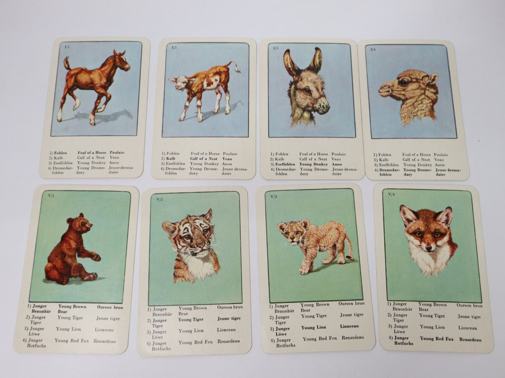 Spiele: Vintage Quartett Tierkinder – Gebraucht aus Eschenbach SG von Astalavista 2