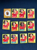 12 Panini Sammelbilder von Belgien