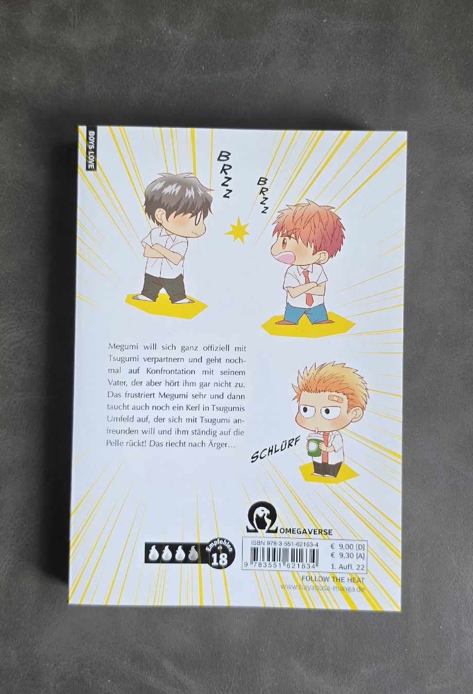 Comics: Megumi & Tsugumi, Band 3, Boys Love Manga, Top Zustand – Neu (gemäss Beschreibung) aus Turgi von Swissrico08 1