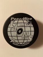 Pee Wee Lions Puck / Easton