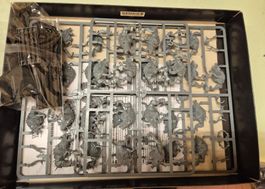 Chaos Warhounds Warhammer The Old World