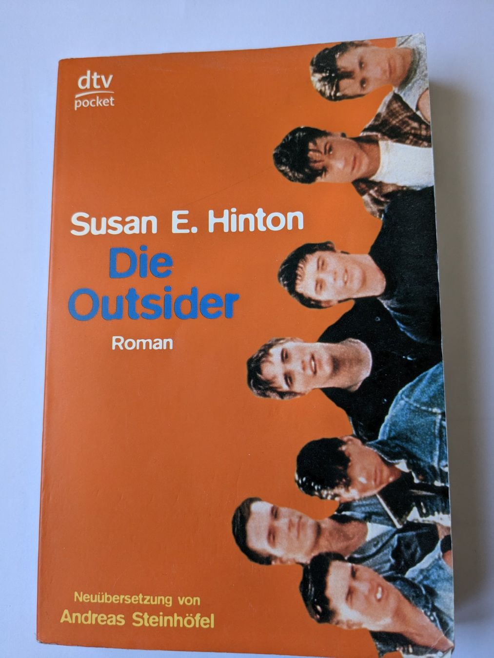 Libri: The outsider von Susan E. Hilton, Dtv pocket – Usato da Sierre venduto da chia17