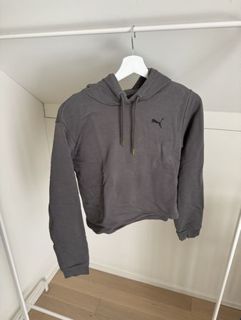Grauer Puma Hoodie - Top Zustand! 