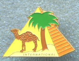 CAMEL  INTERNATIONAL