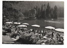 FLIMS am Caumasee
