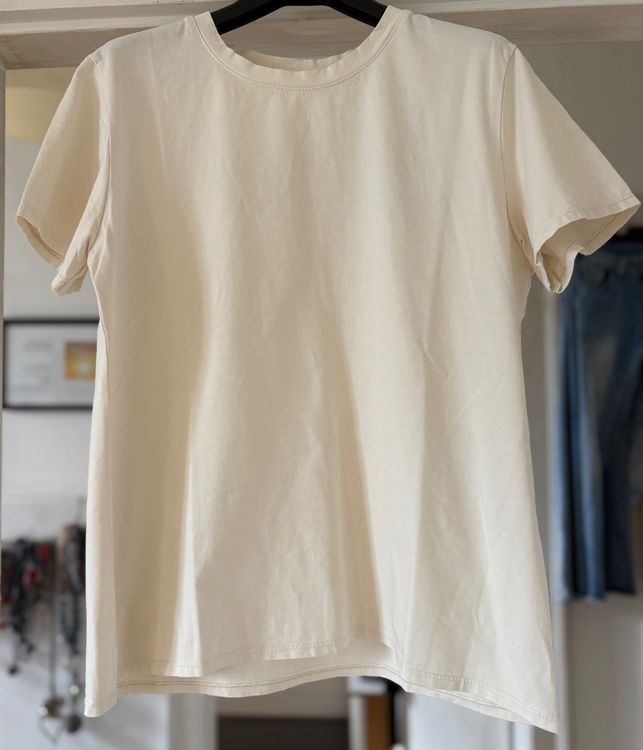 AllSaints - Brace - T-shirt ras de cou à manches courtes - Vert clair