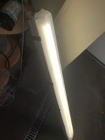 LED nass leuchte Aquaforce Pro Thorn AquaF2 6400 HF L840   1