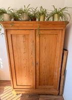 Antiker Schrank, schönes Aufbewahrungsmöbel 120x50x180cm