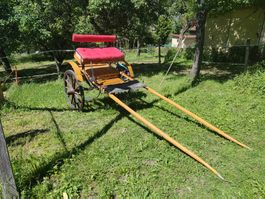 Restaurierte Einspänner Pferdekutsche mit roter Polsterung