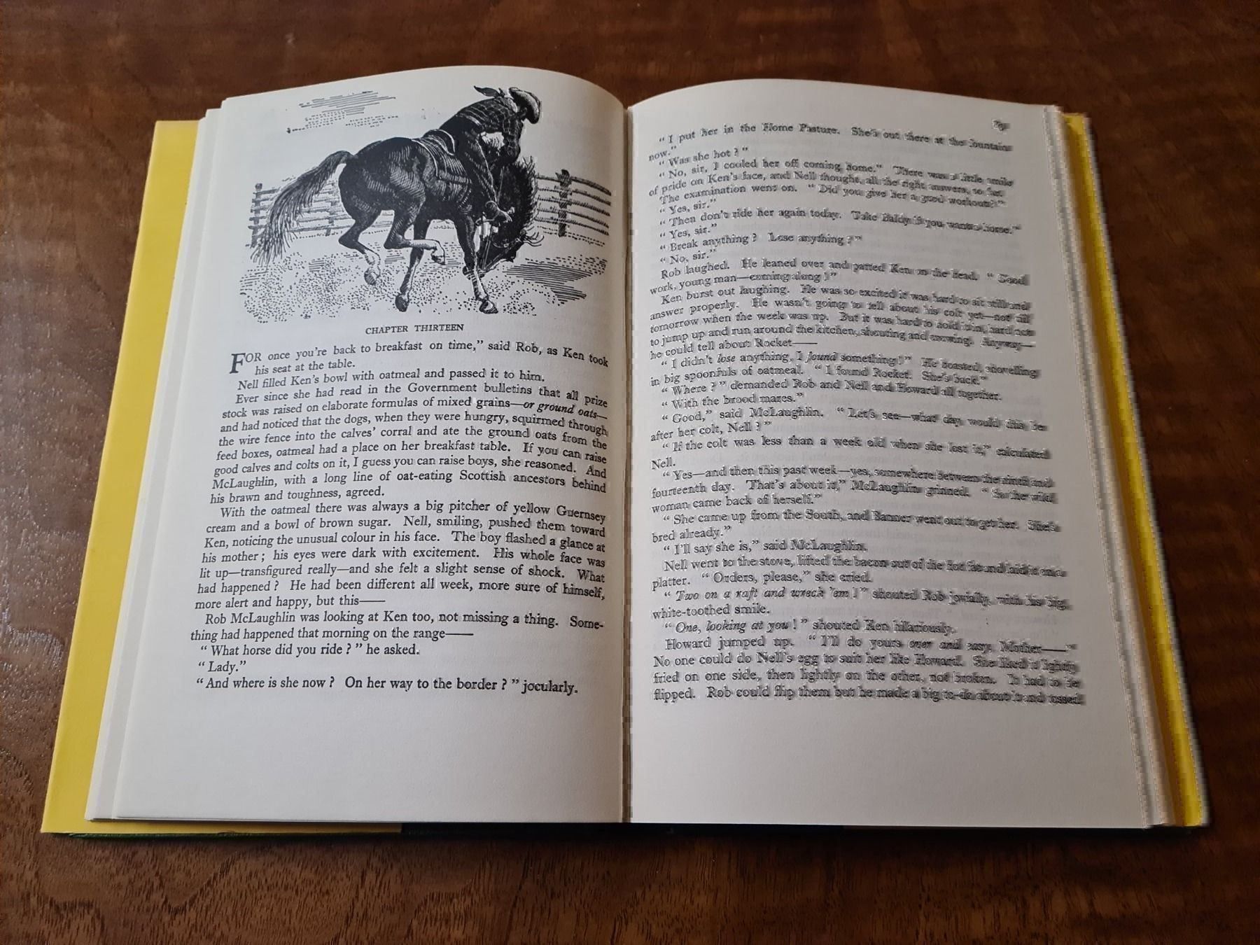 Bücher: My Friend Flicka – Gebraucht aus Erstfeld von Uhu1980 1