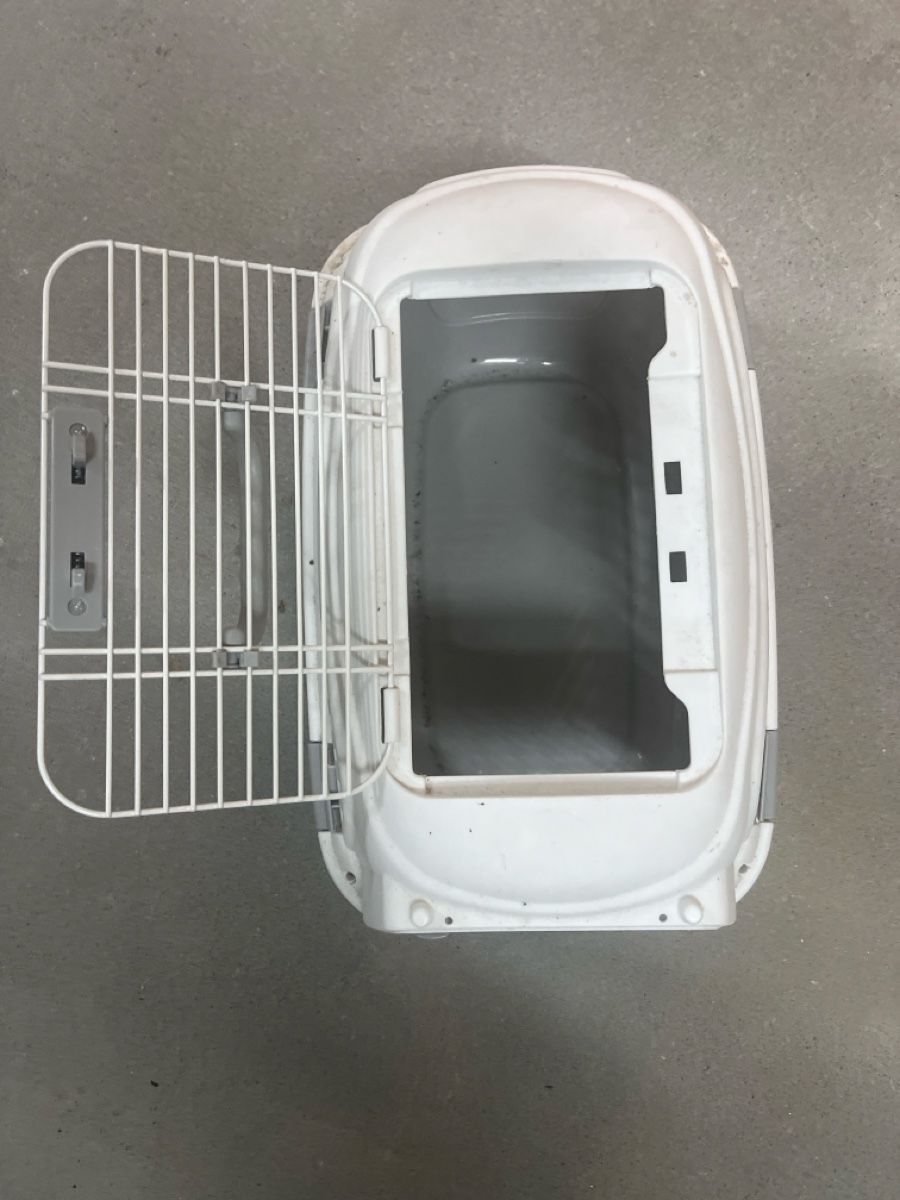 Gabbie, trasporto & Sicurezza: Transportbox Haustier Plastik – Usato da Lenzburg venduto da Raitschy 1