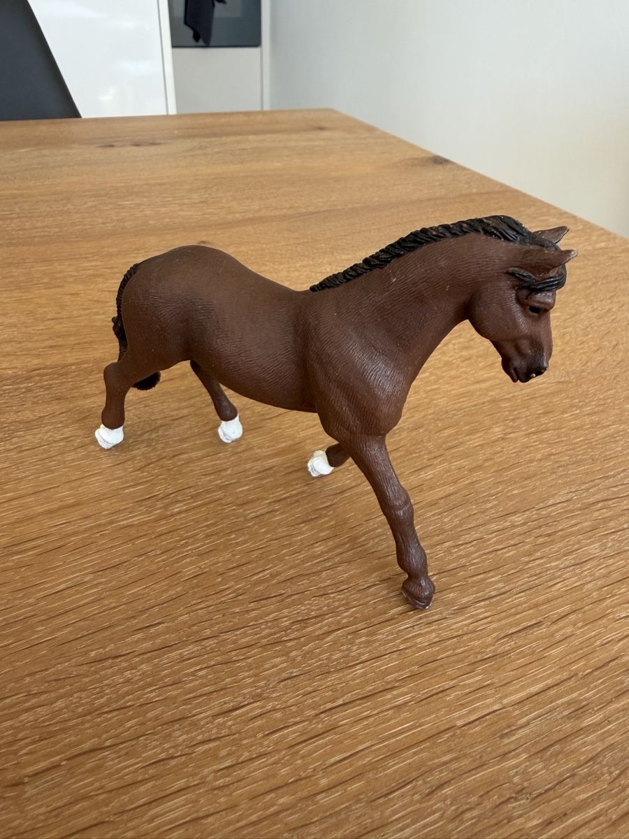 Spielzeuge: Schleich Trakehner Wallach – Gebraucht aus Uznach von Player6 2