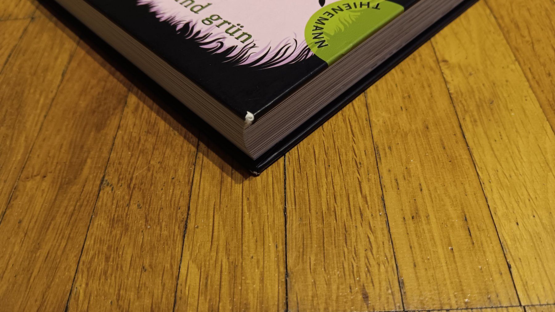 Libri: Cara: Gespenstermädchen sind grün! – Usato da Dietikon venduto da Rabia 1