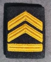 X488 - 1 Stk. Schweizer Armee – Hauptfeldweibel Goldborte