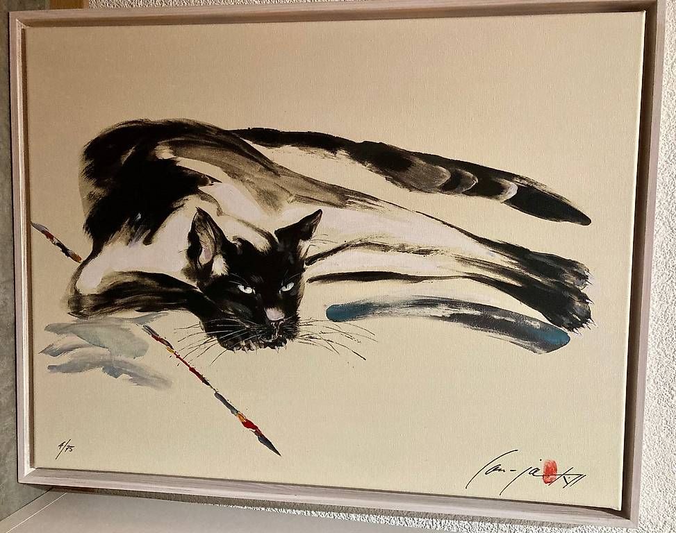 Poster & Bilder: Katzenbild Observation – Gebraucht aus Kreuzlingen von wes_8f5n