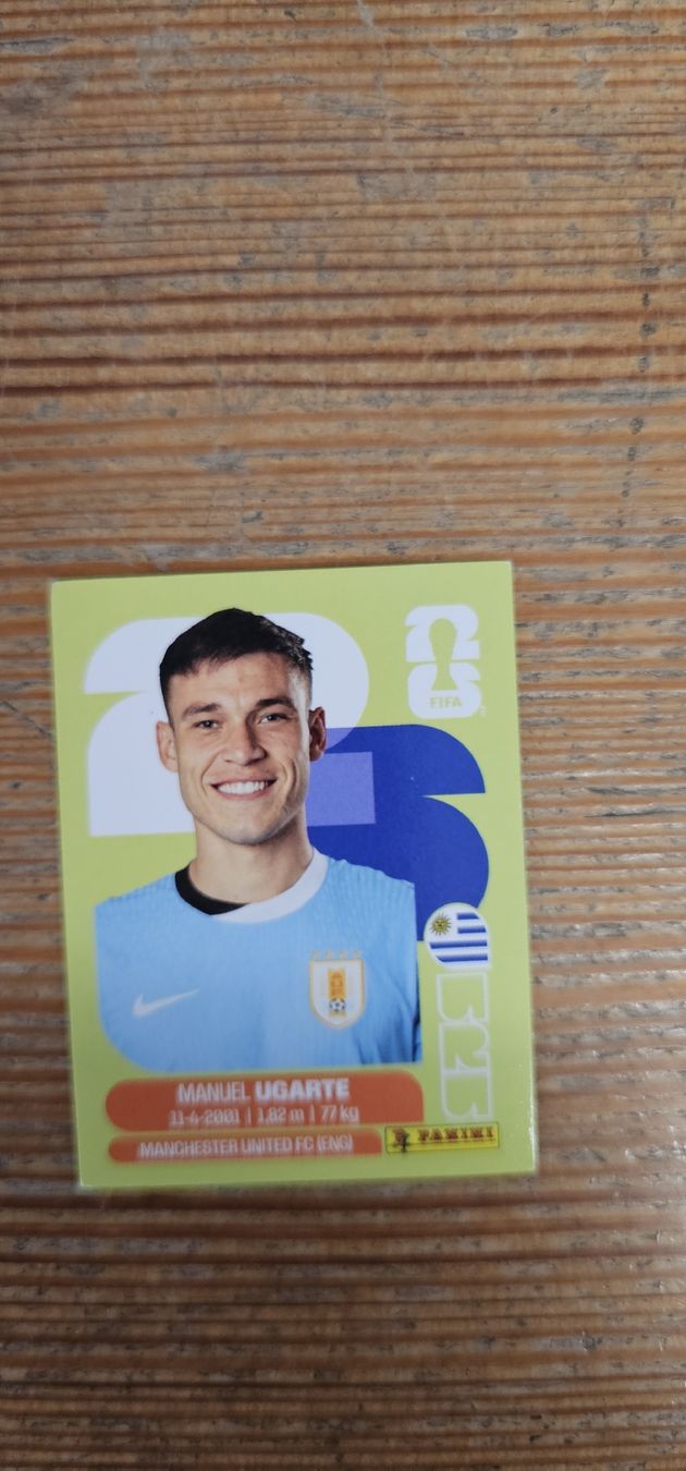 Panini Cartes à collectionner: Fifa World Cup Panini URU 14 – Neuf avec emballage d'origine à Biel VS par volcom8702
