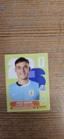 Fifa World Cup Panini URU 14