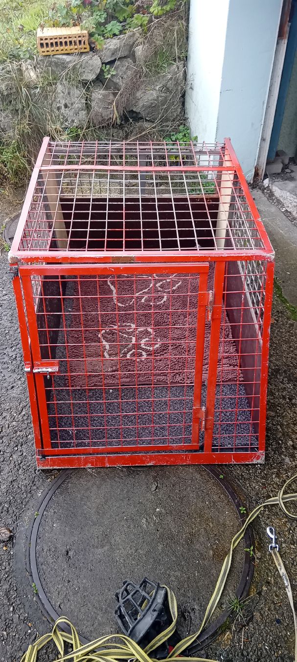 Meiko Gabbie, trasporto & Sicurezza: Hundebox – Usato da Ricken SG venduto da Oesti.ha 1