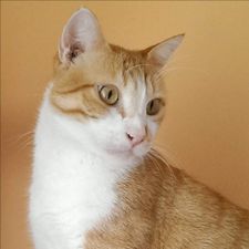 Profile image of Stingray64