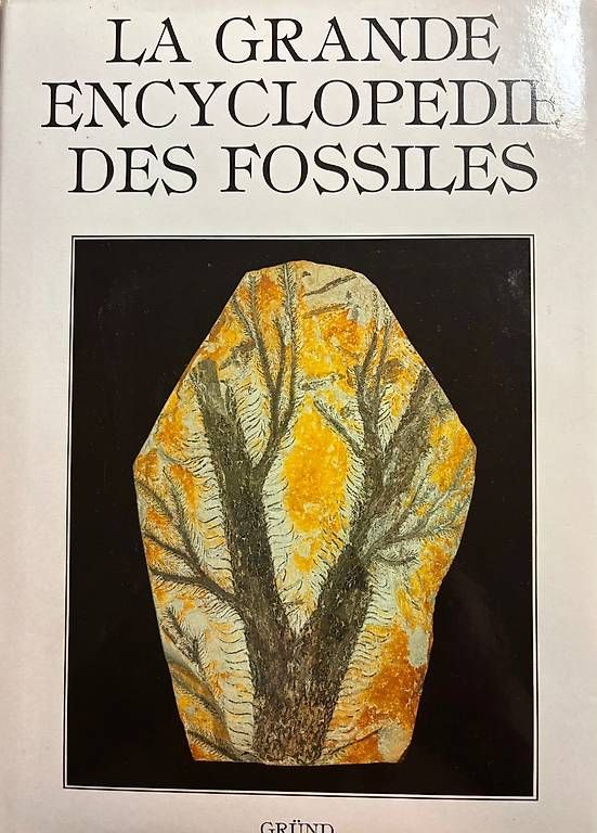 Bücher: La Grande Encyclopedie des fossiles – Gebraucht aus Adliswil von Heimite