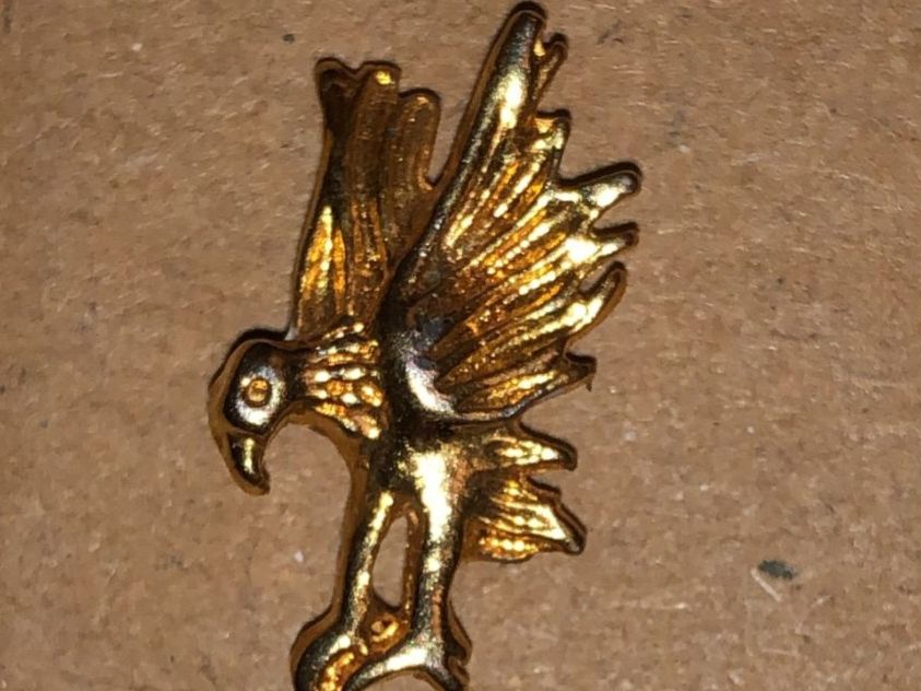 Plaketten & Abzeichen: Vends Pins rapace – Gebraucht aus Corpataux von pfi_27t6
