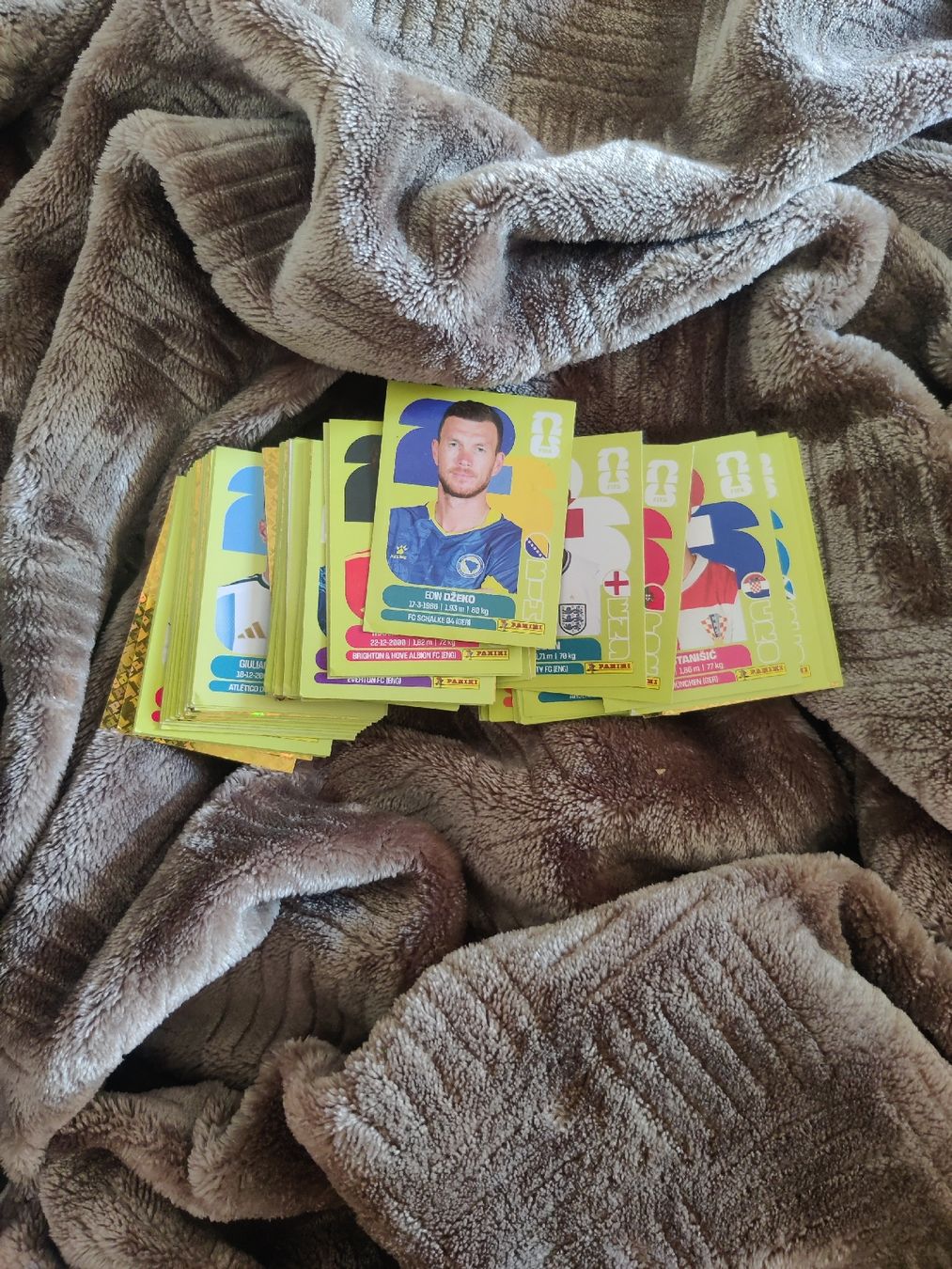 Panini Carte collezionabili: Panini WM 2026 Sammelkarten/Cards – Nuovo (secondo la descrizione) da Fahrweid venduto da phi_wl8r