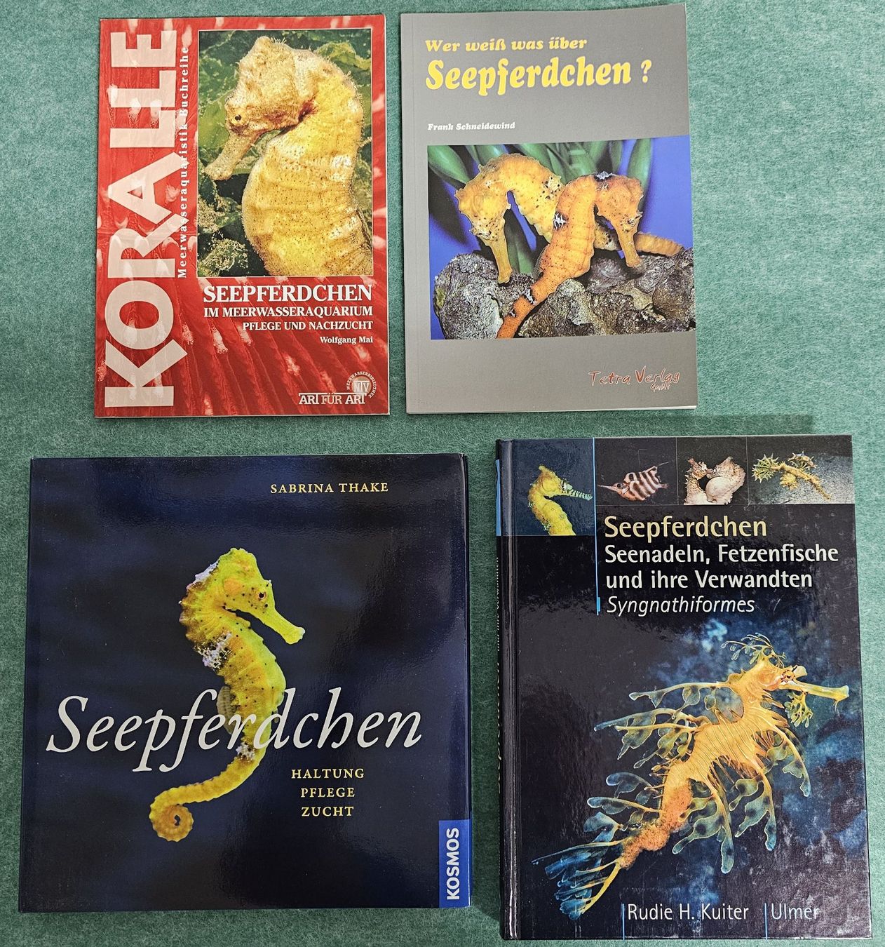 Libri: Seepferdchen - 4 Bücher – Usato da Seengen venduto da Acaramba