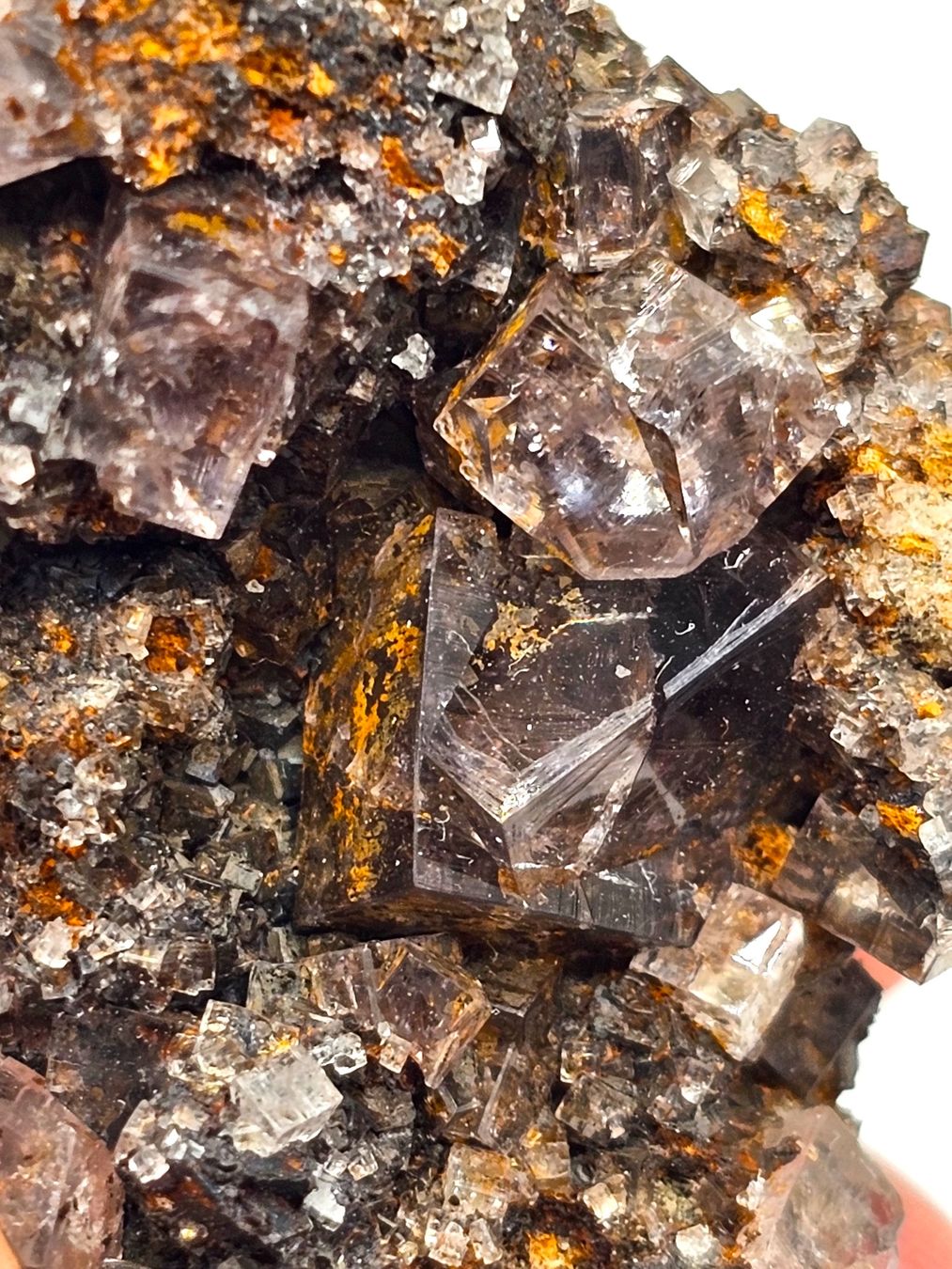 Mineralien & Heilsteine: Fluorite Weardale, County Durham, England, UK – Gebraucht aus Figino von panshop 7
