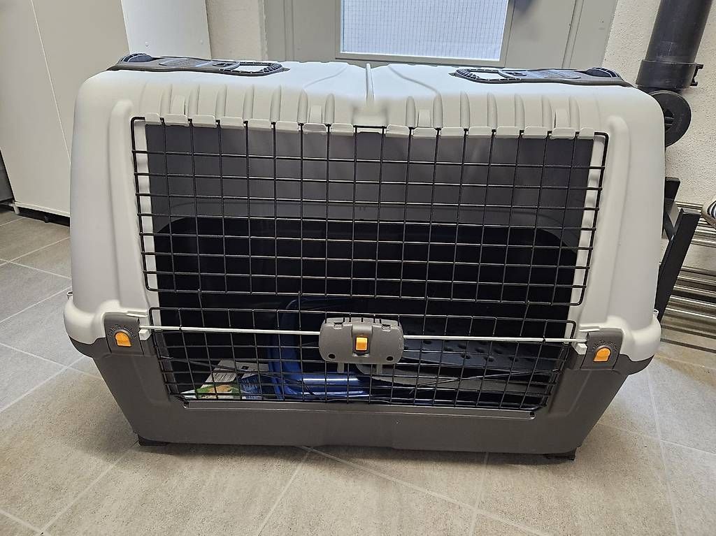 Gabbie, trasporto & Sicurezza: Transportbox Hunde und Katzen – Usato da Schaffhausen venduto da sh4310