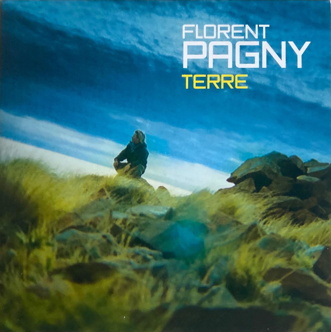 CDs: FLORENT PAGNY - TERRE – D'occasion à Poliez-Pittet par Newtown-Records