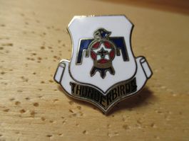 Thunderbirds US Navy Pin