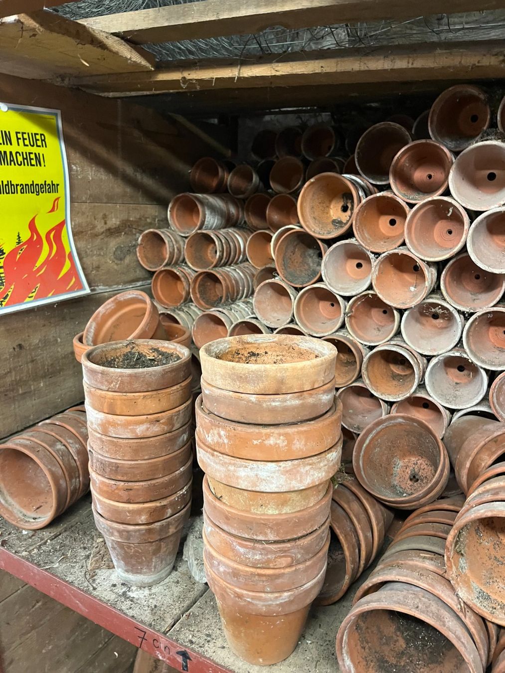 Blumentöpfe: Tontöpfe – Gebraucht aus Brienz BE von rus_sqk6 3