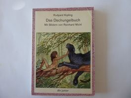 Kinderbuch Das Dschungelbuch, R. Kipling, dtv junior, 1981